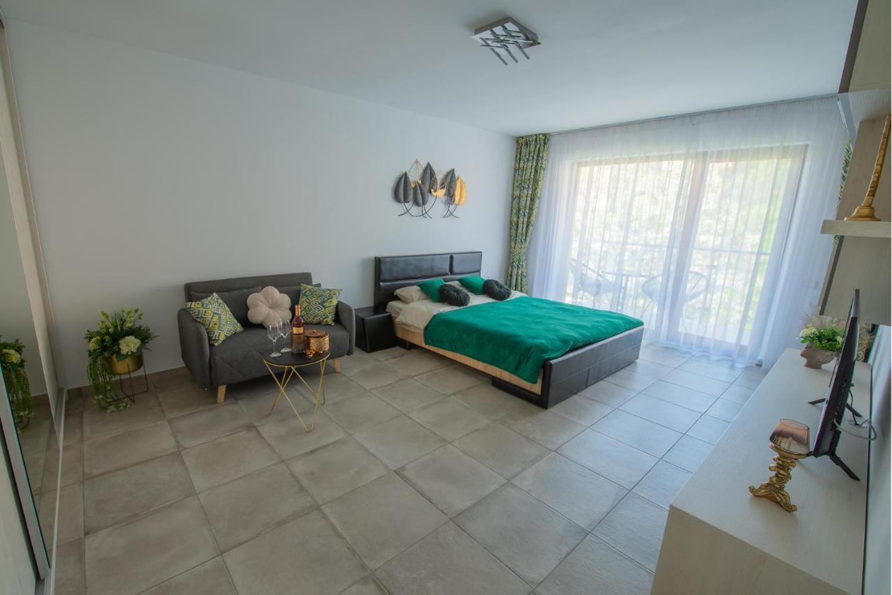 City Vibe Studio Braşov Extérieur photo
