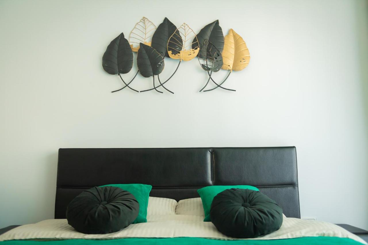 City Vibe Studio Braşov Extérieur photo